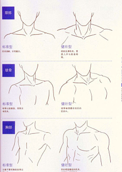 珏落彼岸采集到手部