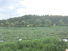 阿筝呀采集到风景/玩的开心