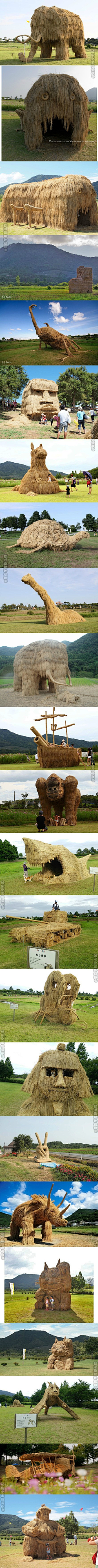 花椒大料碎采集到业态