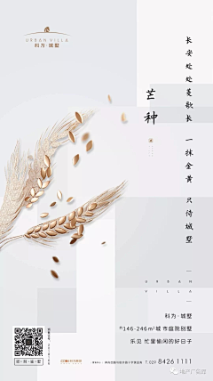 种发发采集到节点-芒种