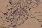 冬天前最后一波菊花~桐园画室高级白描5_4_彦青_来自小红书网页版