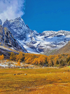 螃蟹在剥你的壳采集到外背景