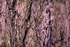 复古木制背景和纹理的设计，壁纸和背景