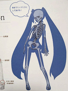 浪人爱吃糖采集到骨骼