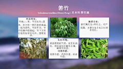 水歌歌采集到植物习性