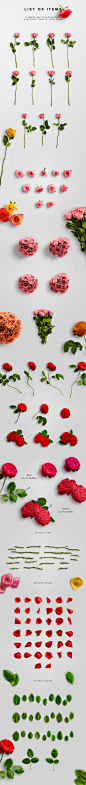 美到令人窒息的情人节玫瑰花高清素材打包下载[PSD] |  