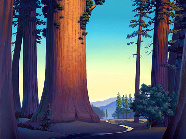 sequoia dawn by Davi...