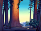 sequoia dawn by David-McCamant on deviantART