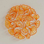 美女艺术家Meredith Woolnough的叶脉刺绣作品 - 图片