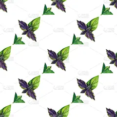水彩无缝模式与罗勒。手绘装饰背景。印刷纺织品，布料，墙纸，剪贴簿