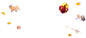 sp2.png (1633×723)