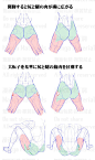 臀部股关节の基本结构 ​​​
