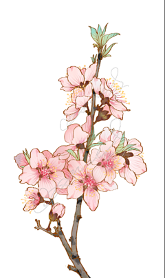 ~杨太太~采集到把画画捡起来~