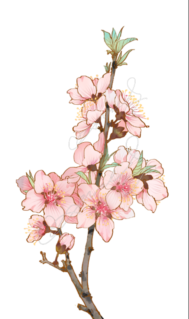 桃花_幽竹沐草__插画师作品_涂鸦王国g...