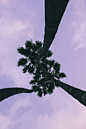 (12) Tumblr