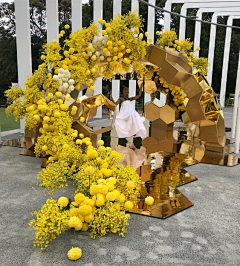linxiaoting采集到植物场景