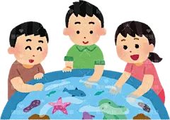 水族馆或其他地方的触摸池的插图，在这里您可以真正触摸到生物并享受乐趣儿童春游游乐场玩游戏小伙伴朋友童年生活贴纸扁平儿童插画元素卡通免扣png图片素材