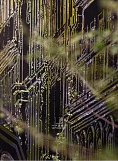 QQ截图20180423093850