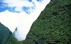 大溪地：梦幻浪漫的热带伊甸园壁纸桌面壁纸2