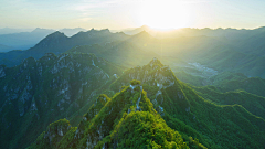 暗夜玄飞采集到森林/景观