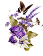 0213b67af9d99ba35fe3335da3bfac108fef6d5041c8a7-iWqQPy_fw1200