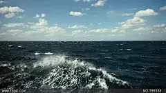 实用高清大海影视