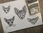 #flash #flashaddicted #cat #sphynx #sphynxtattoo #ink #blackink #dotwork #tattoo