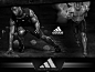 【阿迪达斯ADBE-10238】阿迪达斯adidas家用健身器材多功能仰卧板哑铃凳健身椅仰卧起坐板健腹肌板收腹机训练器 ADBE-10238【行情 报价 价格 评测】-京东