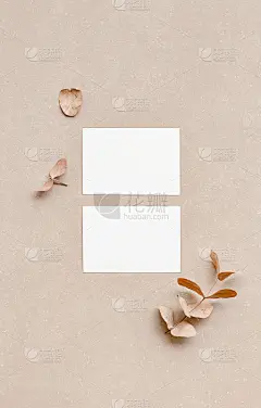 俯视图的两张白色名片模拟设计模板。空拜访卡模型的正面和背面与自然的颜色。标志概念，插入您的品牌。