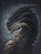 Shadow Dragon by kerembeyit
