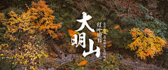 DIIV采集到banner