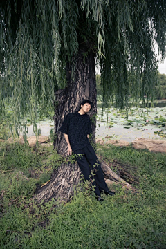 -Chenaholic采集到19