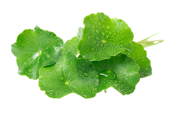 Image removebg preview 2023 01 11T141349 