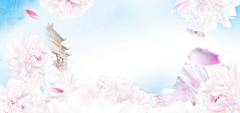 NNZYYDS采集到banner背景