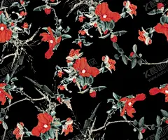 中国风 【酷图网】大牌,中国风,民族风,牡丹花,手绘花,黑底花