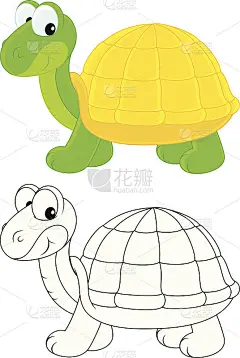乌龟