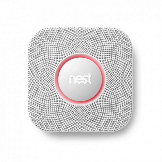 Nest Gives the Lowly...