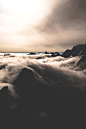 (99+) Tumblr