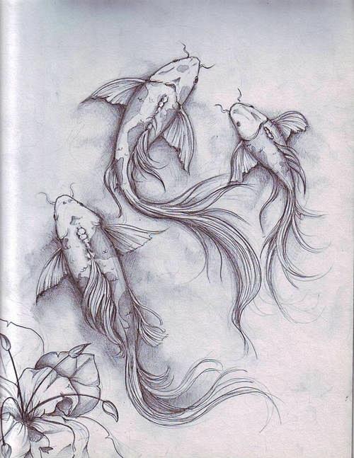 fish sketch by denni...
