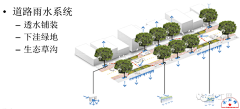 一滴泪的单纯采集到海绵城市