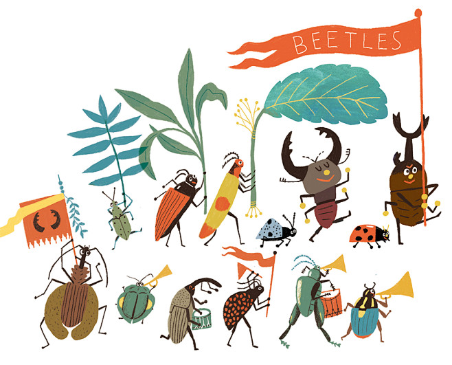 beetles on Behance