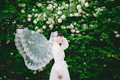 々<(彧坤)>々采集到紫婷砂