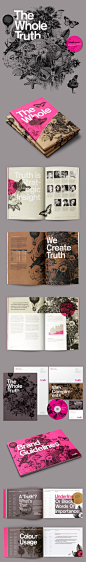 Truth Branding整体VI设计，从画册到在线网站设计,大胆的色彩和插画元素运用，风格独特