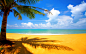 beaches clouds landscapes nature palm trees wallpaper (#327281) / Wallbase.cc