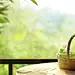 basket of green tea on table beside window natural backgrounds ediógrafo, in the style of motion blur panorama, chinese tradition, lush landscape backgrounds, bentwood, light green, website, digitally enhanced