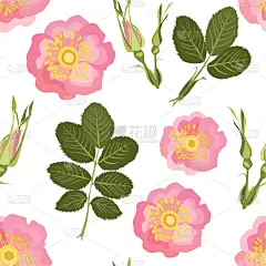四方连续纹样,野玫瑰,可爱的,纺织品,浪漫,壁纸,植物群,婚礼,小的,自然美