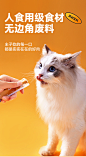 有鱼®Numbers猫条 猫咪零食营养增肥湿粮包罐头幼猫成猫15g*10条-tmall.com天猫