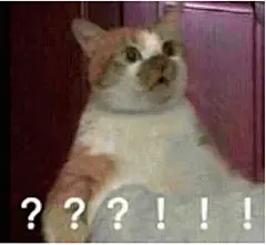 (26 条消息) 有哪些斗图必胜的表情包? - 知乎 : 蟹蟹大家的喜欢，再加了一些图～我来了，表情包天使从不缺席如果你不喜欢我的回答，那么先放熊猫头系列盗…