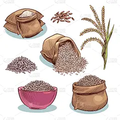 大口袋,仁,碗,动物耳朵,稻,农业,谷物,摆拍,食品,熟的