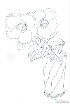 山茶花与花瓶，彩铅手绘
via@泽源手绘 ​​​​